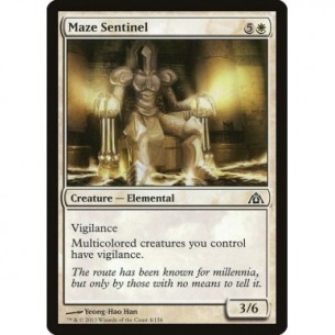 Maze Sentinel