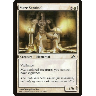 Maze Sentinel