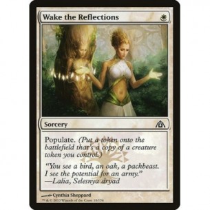 Wake the Reflections