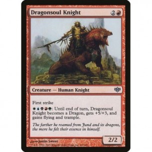 Cavaliere dell'Anima di Drago