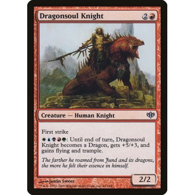 Cavaliere dell'Anima di Drago