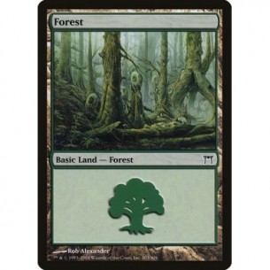 Foresta