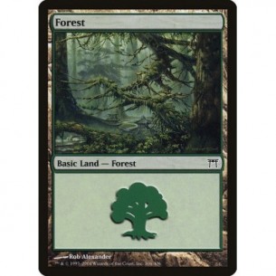 Foresta