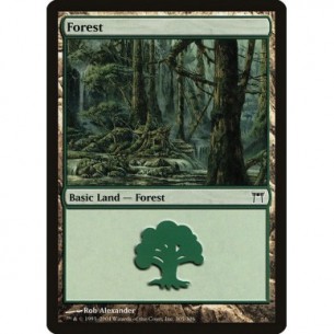 Foresta