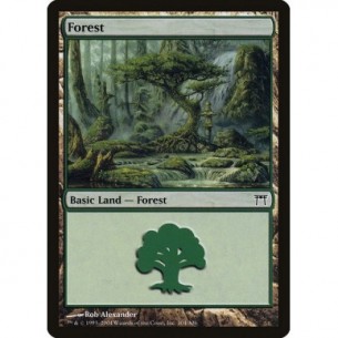 Foresta