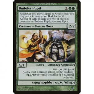 Budoka Pupil // Ichiga, Who...