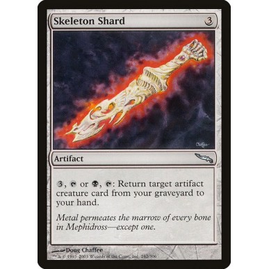 Skeleton Shard