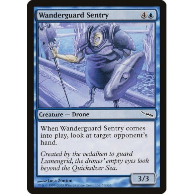 Wanderguard Sentry