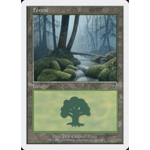 Forest