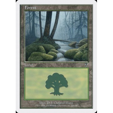 Forest