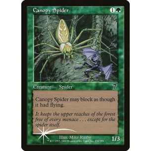 Canopy Spider
