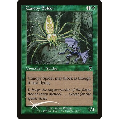 Canopy Spider