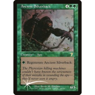 Ancient Silverback