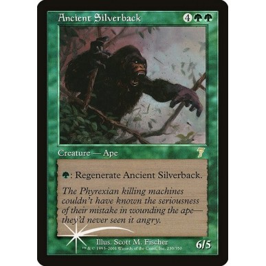 Ancient Silverback