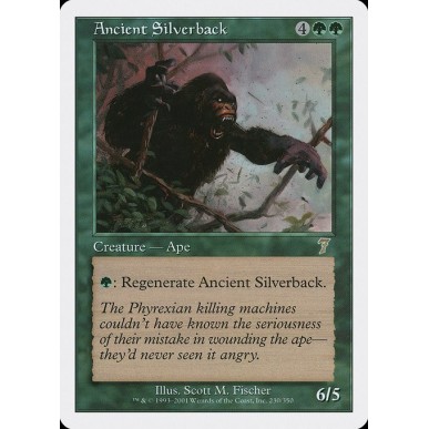 Ancient Silverback