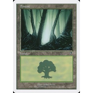 Forest