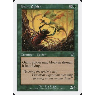 Giant Spider