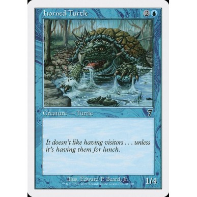 Horned Turtle