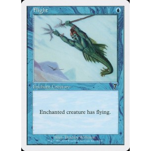 Flight