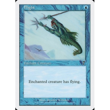 Flight