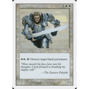 Northern Paladin