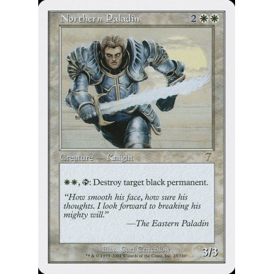 Northern Paladin