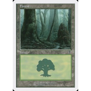 Forest