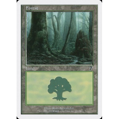 Forest