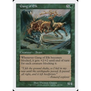 Gang of Elk
