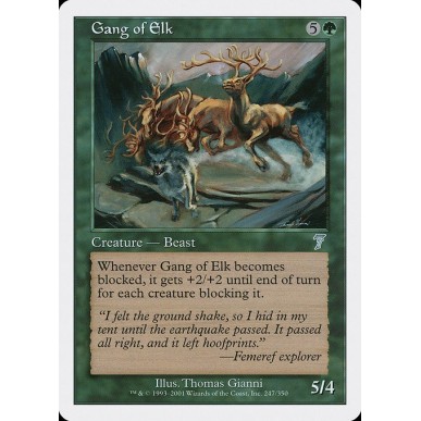 Gang of Elk