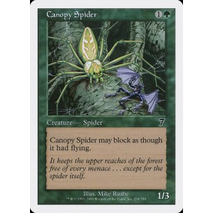 Canopy Spider