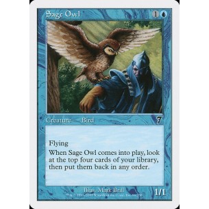 Sage Owl