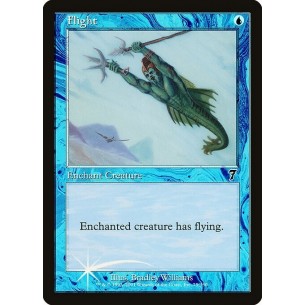 Flight