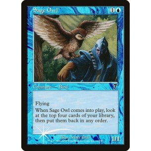 Sage Owl