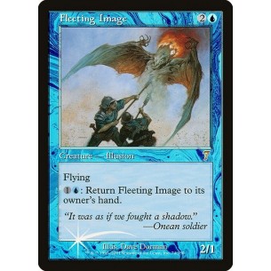 Fleeting Image