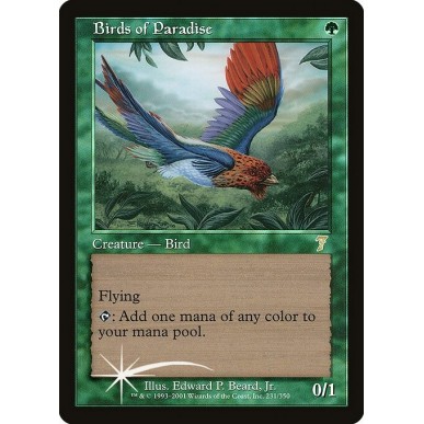 Birds of Paradise
