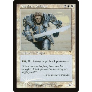 Northern Paladin