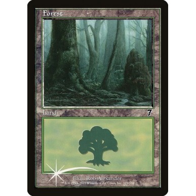 Forest