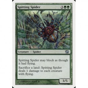 Ragno Sputatore
