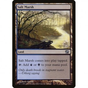 Salt Marsh