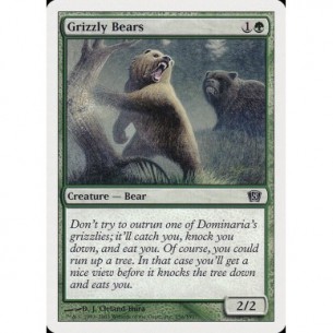 Orso Grizzly