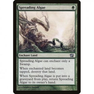 Spreading Algae