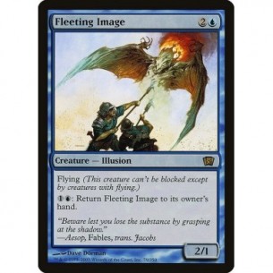 Fleeting Image