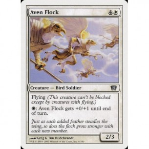 Stormo di Aviani