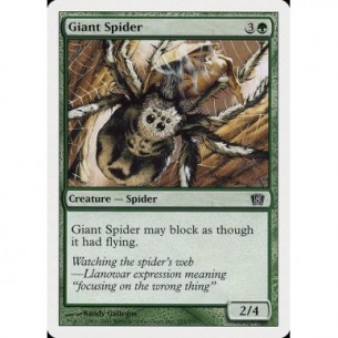 Ragno Gigante