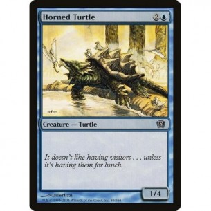 Horned Turtle