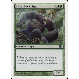 Silverback Ape