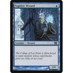 Fugitive Wizard