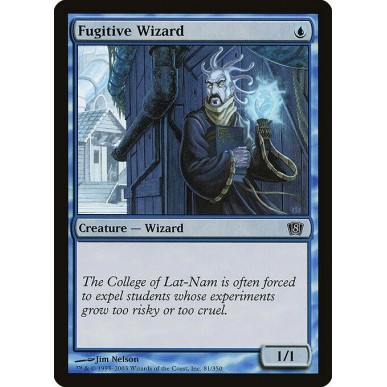 Fugitive Wizard