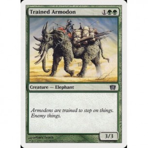 Armodonte Addestrato